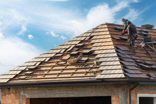 Best Roof Insulation Installation  in Parole, MD