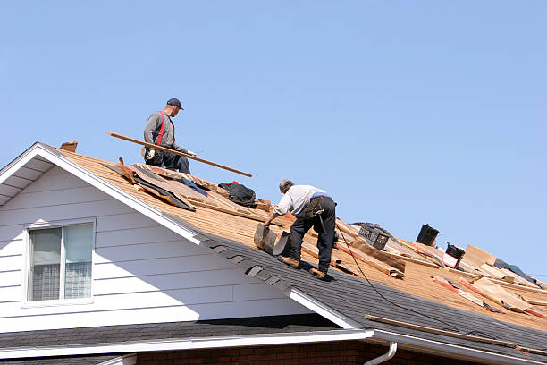 Best Cold Roofs  in Parole, MD